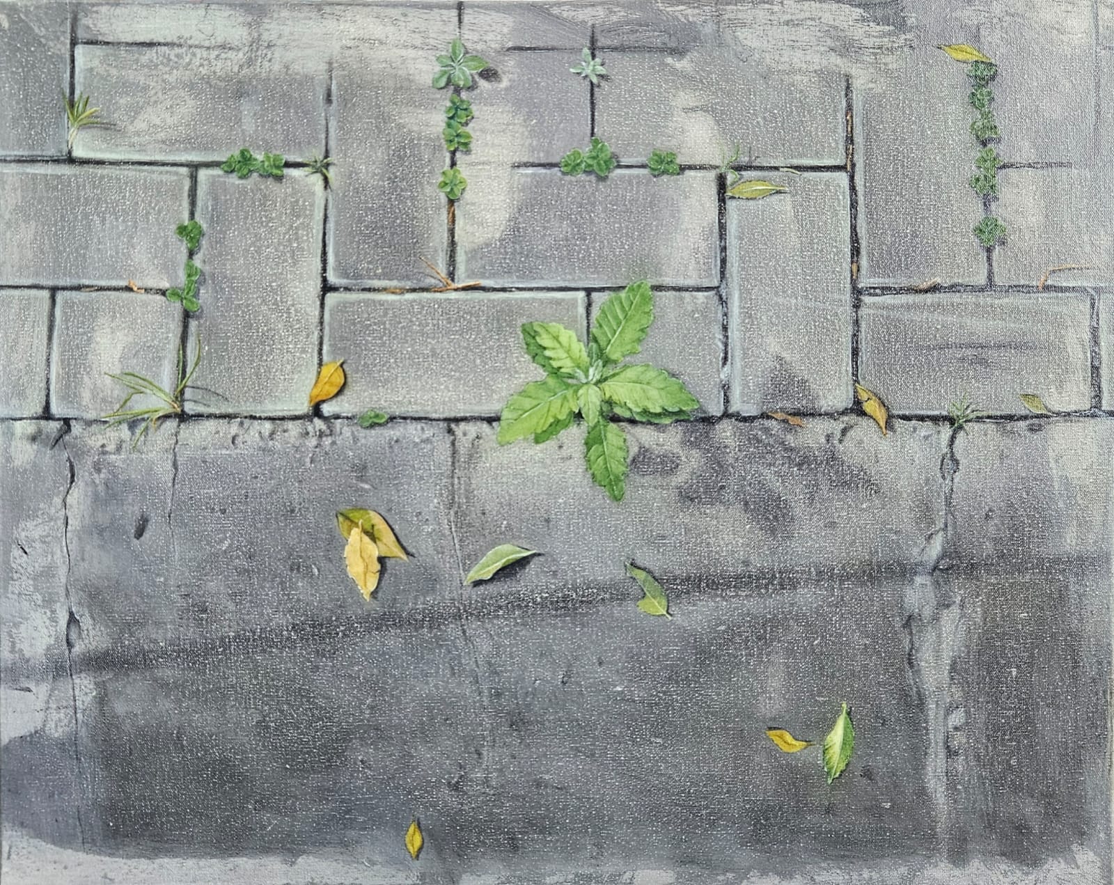 Betinha Trevisan_Sem título_da série Meu quintal é maior do que o mundo_50x40 cm_AST_2024