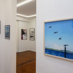 Créditos - Eduardo Beltrame (11)