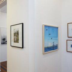 Créditos - Eduardo Beltrame (12)