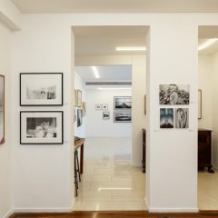 Créditos - Eduardo Beltrame (14)