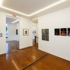 Créditos - Eduardo Beltrame (15)