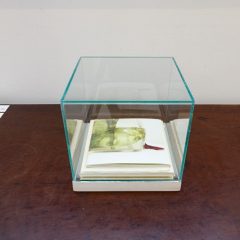 Créditos - Eduardo Beltrame (17)