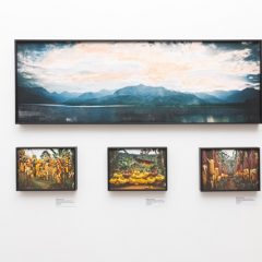 Créditos - Eduardo Beltrame (18)