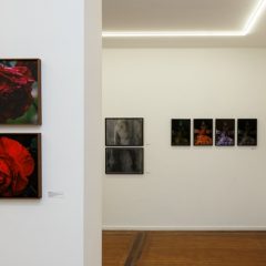 Créditos - Eduardo Beltrame (20)