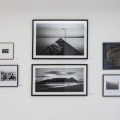 Créditos - Eduardo Beltrame (23)