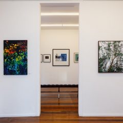 Créditos - Eduardo Beltrame (4)