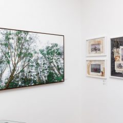 Créditos - Eduardo Beltrame (5)