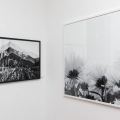 Créditos - Eduardo Beltrame (7)