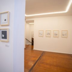 IMG_5858