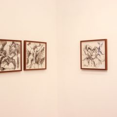 IMG_9822