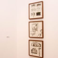 IMG_9847